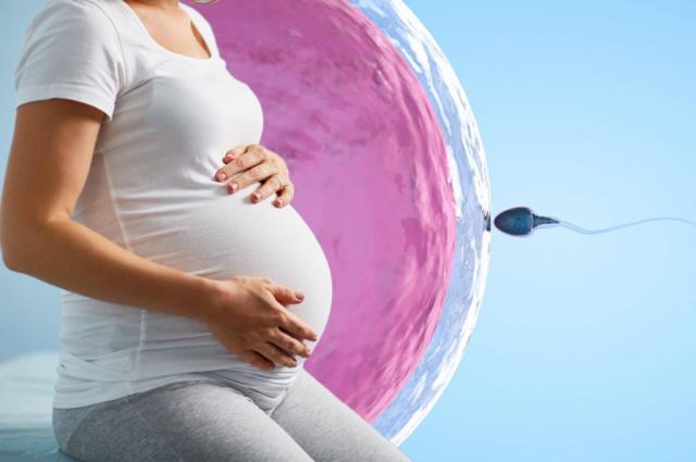 İnfertilitede ve Tüp Bebek Beslenme Danışmanlığı